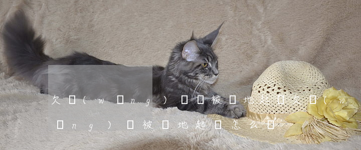 欠網(wǎng)貸會被異地起訴(欠網(wǎng)貸被異地起訴怎么辦)