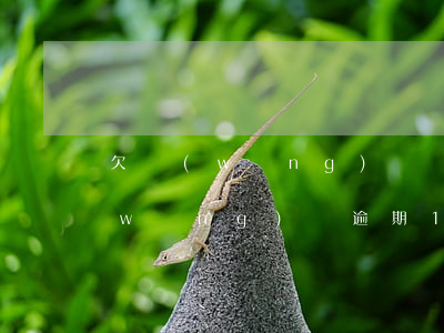 欠網(wǎng)貸會被管制15天嗎(網(wǎng)貸逾期15天后果)