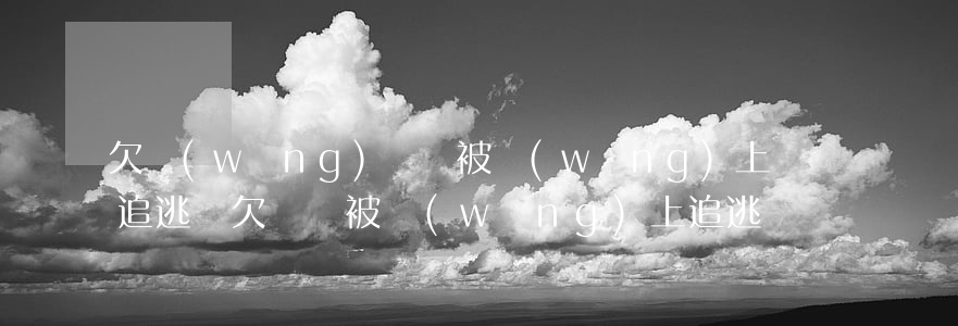 欠網(wǎng)貸會被網(wǎng)上追逃嗎(欠債會被網(wǎng)上追逃嗎)