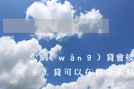 欠網(wǎng)貸會被貼條嗎(網(wǎng)貸可以在村委張貼欠款嗎)