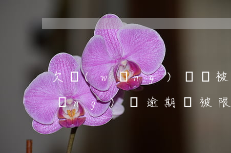 欠網(wǎng)貸會被限制出行嗎(網(wǎng)貸逾期會被限制出行嗎)