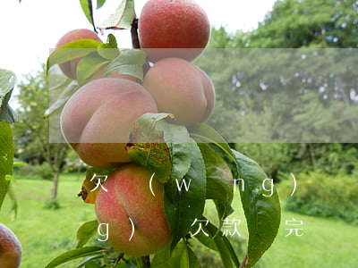 欠網(wǎng)貸會變黑戶嗎(網(wǎng)貸欠款還完還會是黑戶嗎)