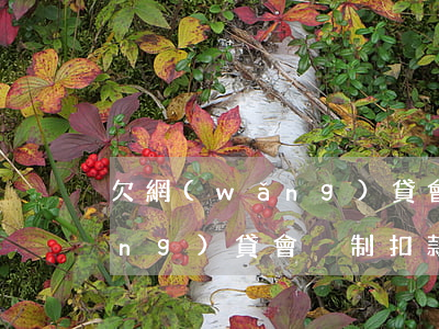 欠網(wǎng)貸會跨行扣款嗎(網(wǎng)貸會強制扣款嗎)