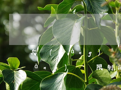 欠網(wǎng)貸會限制消費嗎(欠網(wǎng)貸會限制消費嗎知乎)