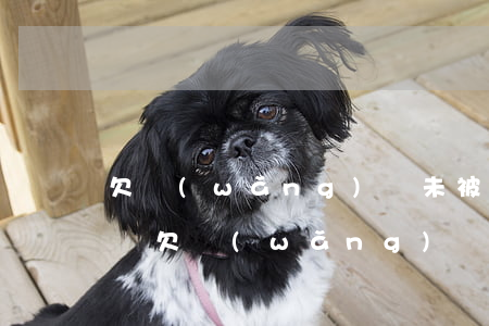 欠網(wǎng)貸未被起訴會成為失信人嗎(欠網(wǎng)貸不還算失信人員嗎)