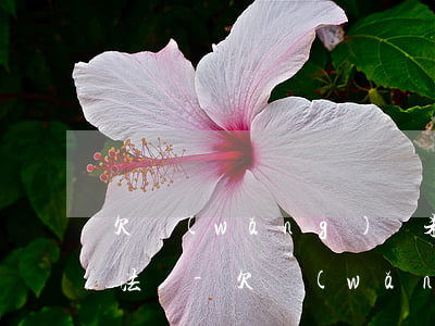 欠網(wǎng)貸未還他們去公司找我犯法嗎-欠網(wǎng)貸未還他們去公司找我犯法嗎怎么處理