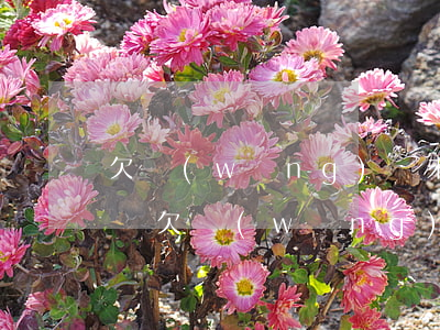 欠網(wǎng)貸未還說要上門觸犯法律嗎(欠網(wǎng)貸真的會上門要嗎?)