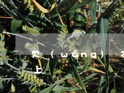 欠網(wǎng)貸本地催收會(huì)上門嗎