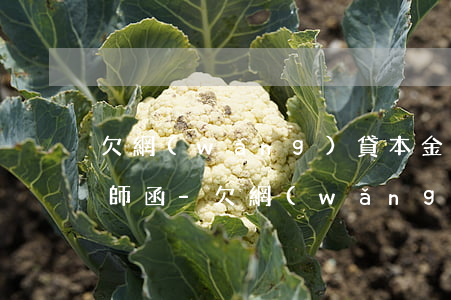 欠網(wǎng)貸本金10000收到律師函-欠網(wǎng)貸本金10000收到律師函是真的嗎
