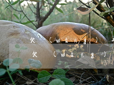 欠網(wǎng)貸本金四千塊說要起訴我(欠網(wǎng)貸四千塊錢會被起訴嗎)