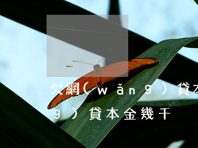 欠網(wǎng)貸本金幾千(欠網(wǎng)貸本金幾千)