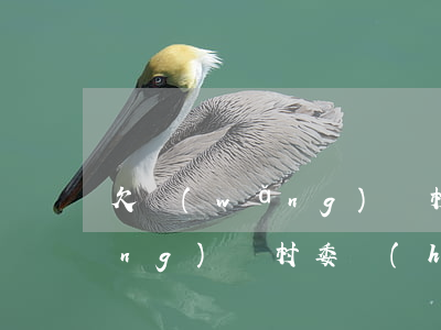 欠網(wǎng)貸村里書記(欠了網(wǎng)貸村委會(huì)的人找我)