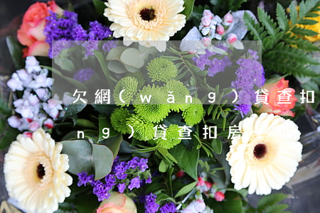 欠網(wǎng)貸查扣房子嗎(欠網(wǎng)貸查扣房子嗎)