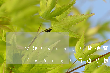 欠網(wǎng)貸檢察院公訴什么情況(網(wǎng)貸逾期檢察院立案)