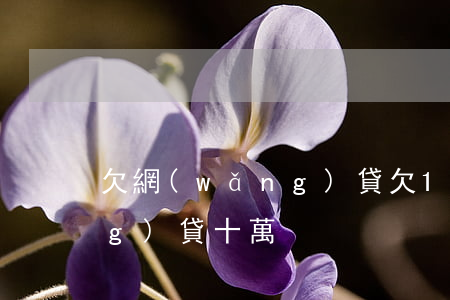 欠網(wǎng)貸欠10萬(欠網(wǎng)貸十萬)