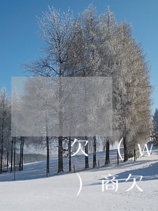欠網(wǎng)貸欠太多怎么協(xié)商(欠網(wǎng)貸怎么協(xié)商還款)