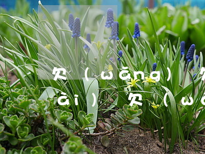 欠網(wǎng)貸欠太多 按揭房能賣(mài)嗎(欠網(wǎng)貸房子會(huì)被拍賣(mài)嗎)