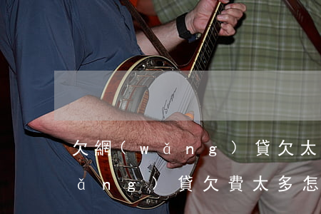 欠網(wǎng)貸欠太多處理辦法(網(wǎng)貸欠費太多怎么辦)