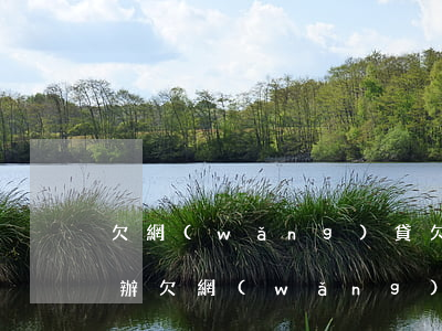 欠網(wǎng)貸欠太多還不上被告怎么辦(欠網(wǎng)貸還不上怎么辦會有哪些后果)