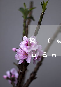 欠網(wǎng)貸欠朋友錢還不起(欠網(wǎng)貸和朋友的錢怎么面對生活)