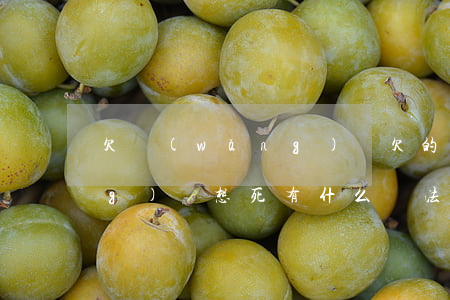 欠網(wǎng)貸欠的想死(欠網(wǎng)貸想死有什么辦法)