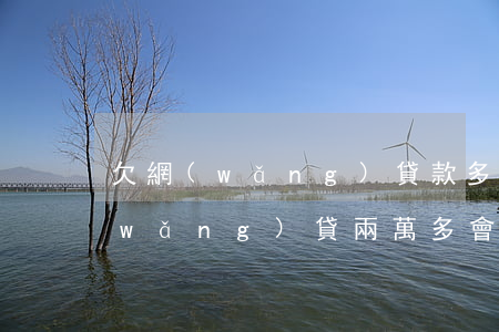 欠網(wǎng)貸款多少錢會坐牢(欠網(wǎng)貸兩萬多會坐牢嗎)