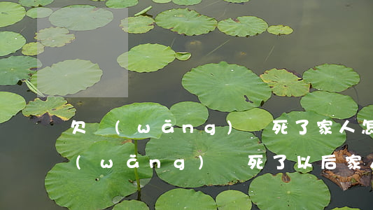 欠網(wǎng)貸死了家人怎么辦(欠了網(wǎng)貸死了以后家人需要還嗎)