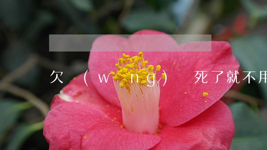 欠網(wǎng)貸死了就不用還了嗎