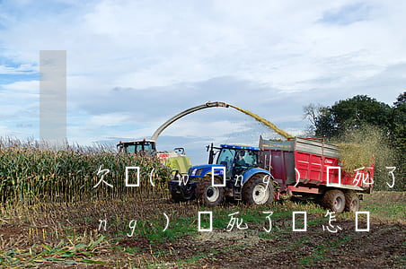 欠網(wǎng)貸死了會怎樣(欠網(wǎng)貸死了會怎樣)