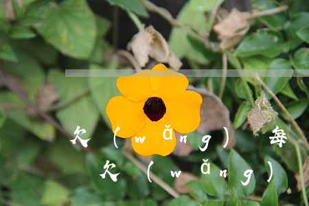 欠網(wǎng)貸每個(gè)月要還一萬(欠網(wǎng)貸一千多不還會怎樣)
