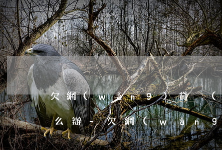 欠網(wǎng)貸沒(méi)有能力怎么辦-欠網(wǎng)貸沒(méi)能力還怎么辦