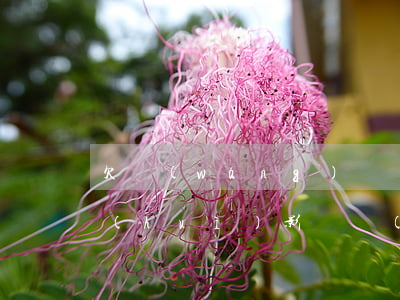 欠網(wǎng)貸沒(méi)有逾期會(huì)影響當(dāng)兵政審嗎(征信有網(wǎng)貸逾期可以當(dāng)兵嗎)
