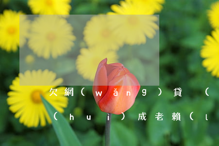 欠網(wǎng)貸沒(méi)能力還會(huì)成老賴(lài)嗎(網(wǎng)貸沒(méi)還會(huì)成為老賴(lài)嗎)