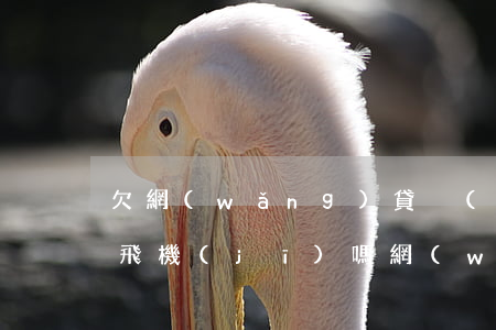 欠網(wǎng)貸沒(méi)還完能坐飛機(jī)嗎(網(wǎng)貸沒(méi)還能不能坐飛機(jī))