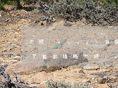 欠網(wǎng)貸沒(méi)還被起訴了能出境嗎(欠網(wǎng)貸不還會(huì)不會(huì)被起訴)