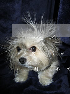 欠網(wǎng)貸沒(méi)還還能搞到錢不(欠網(wǎng)貸沒(méi)還還能搞到錢不)