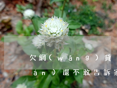 欠網(wǎng)貸沒(méi)錢(qián)還不敢告訴家人(欠了網(wǎng)貸父母也沒(méi)錢(qián)還怎么辦)