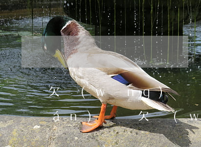 欠網(wǎng)貸沒(méi)錢(qián)還債(欠網(wǎng)貸逾期沒(méi)錢(qián)還怎么辦)