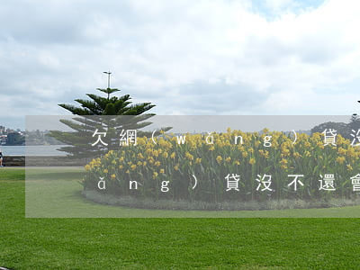 欠網(wǎng)貸沒不還會怎樣(欠網(wǎng)貸沒不還會怎樣)
