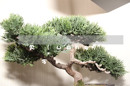 欠網(wǎng)貸沒會(huì)被貼追債令嗎