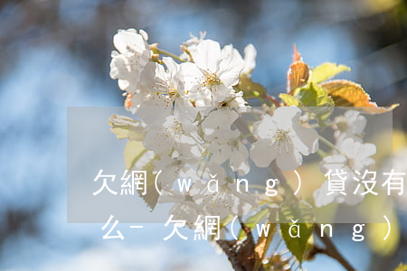 欠網(wǎng)貸沒有能力還款后果是什么-欠網(wǎng)貸沒有能力還款后果是什么樣