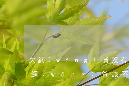 欠網(wǎng)貸沒有親戚幫忙(親戚欠了網(wǎng)貸該不該幫)