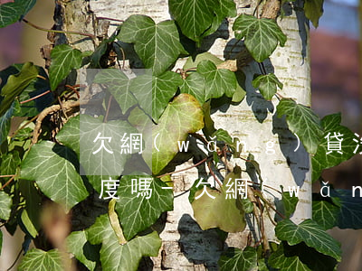 欠網(wǎng)貸沒有逾期影響信用卡額度嗎-欠網(wǎng)貸沒有逾期影響信用卡額度嗎知乎