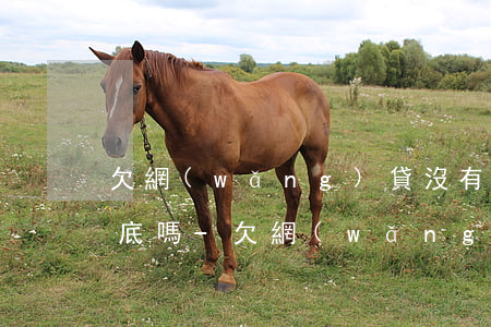 欠網(wǎng)貸沒有還算是身份證有案底嗎-欠網(wǎng)貸沒有還算是身份證有案底嗎怎么辦