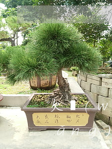欠網(wǎng)貸沒法還怎么辦(欠網(wǎng)貸還不上怎么辦?)