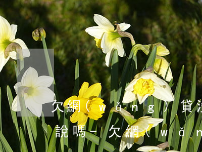 欠網(wǎng)貸沒能力還能給老婆家人說嗎-欠網(wǎng)貸沒能力還能給老婆家人說嗎怎么辦