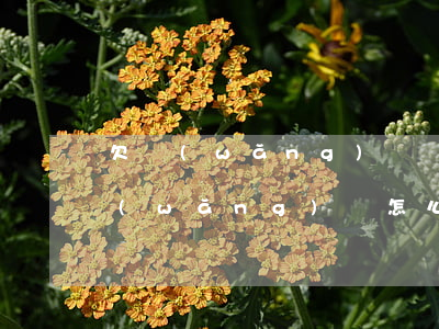 欠網(wǎng)貸沒跟家人坦白完(欠了網(wǎng)貸怎么和家人坦白)