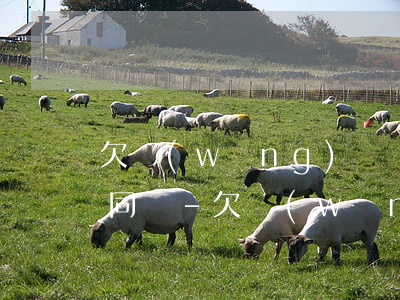 欠網(wǎng)貸沒還可以和新公司簽合同嗎-欠網(wǎng)貸能找到新的公司嗎