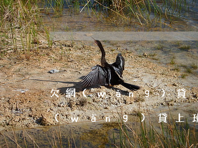 欠網(wǎng)貸沒還工資卡會扣嗎(欠網(wǎng)貸上班工資會被扣嗎)