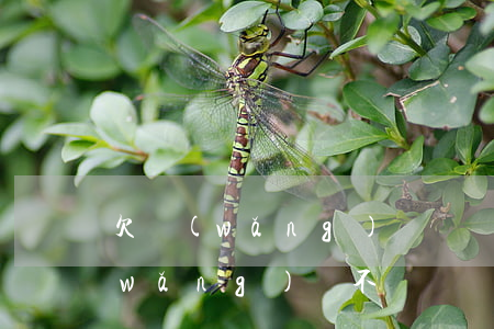欠網(wǎng)貸沒還會不會坐牢(欠網(wǎng)貸不還錢會坐牢嗎)